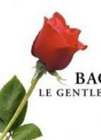 Bachelor gentleman célibataire (2003-oggi) Scene Nuda