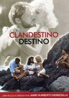 Clandestino destino 1987 film scene di nudo
