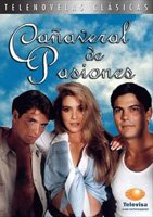 Cañaveral de pasiones (1996) Scene Nuda