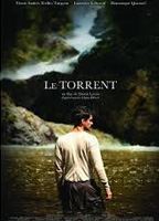 Le torrent (2012) Scene Nuda