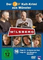 Wilsberg (2015-oggi) Scene Nuda