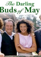The Darling Buds of May 1991 film scene di nudo