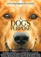 A Dog's Purpose (2017) Scene Nuda