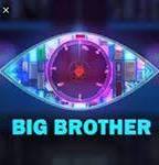 Big Brother Slovenia (2007-2016) Scene Nuda