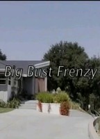 Big Bust Frenzy 2007 film scene di nudo