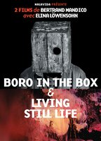 Boro in the Box (2011) Scene Nuda