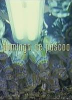 Domingo de Páscoa (2008) Scene Nuda