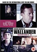 Inspector Wallander (2005-oggi) Scene Nuda