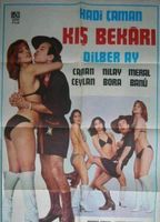 Kis Bekari 1978 film scene di nudo