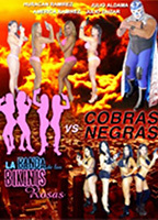La banda de los bikinis rosas vs Cobras negras  2013 film scene di nudo