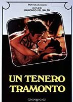 Un Tenero Tramonto 1984 film scene di nudo