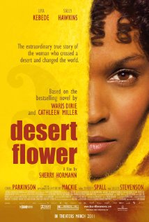 Desert Flower 2009 film scene di nudo