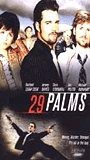 29 Palms scene nuda