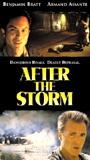 After the Storm 2001 film scene di nudo