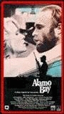 Alamo Bay (1985) Scene Nuda