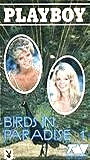 Birds in Paradise (1988) Scene Nuda