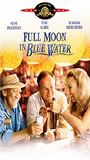 Full Moon in Blue Water (1988) Scene Nuda