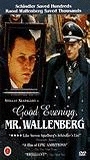 Good Evening, Mr. Wallenberg scene nuda