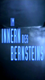Im Innern des Bernsteins scene nuda