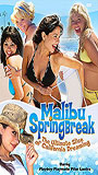 Malibu Spring Break scene nuda