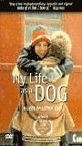 My Life as a Dog 1985 film scene di nudo