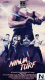 Ninja Turf (1985) Scene Nuda