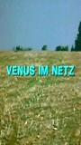 Venus im Netz scene nuda