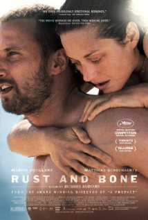 Rust and Bone  scene nuda